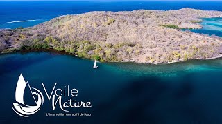 Voile Nature - Balades en mer en Martinique