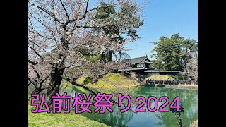 2024弘前桜祭り