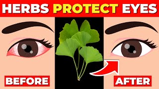 6 Herbs That Protect Eyes and Repair Vision