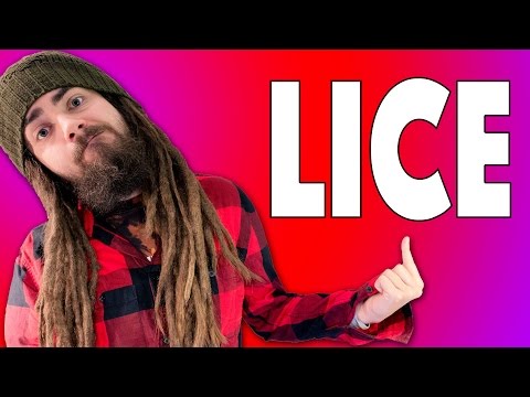 LICE In Dreads?! LICE In Dreads?!