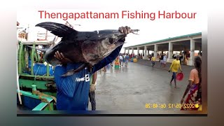 Thengapattanam Fishing Harbour | 🐋sea fish sale🐠🐟 Kanyakumari District /Tamilnadu