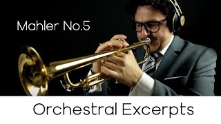 Orchestral Excerpts n.2 \