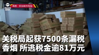 关税局起获7500条漏税香烟 所逃税金逾81万元