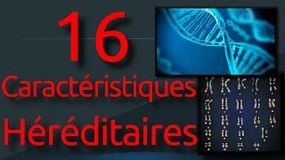 16 : Les caractéristiques héréditaires