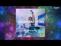 Woody van Eyden - Si-N+R-Je (DJ T.H. Remix)