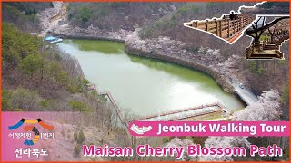 #Jeonbuk #Korea #KoreaTour #KoreaMaisan #CherryBlossoms  Maisan Cherry Blossom Road