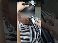 fade+ fade #art #shorts #asmr #haircut #barbershop #fyp #hairstyle #bali #taperfade #america #hair