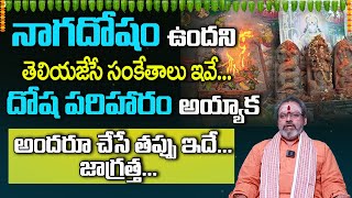 నాగదోషం మీకుఉందని తెలియజేసేసంకేతాలుఇవే | Symptoms For Naga Dosha | Naga Dosam Sankethalu Pariharamu