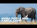 Mana Pools and Kanga Camp Photo Safari