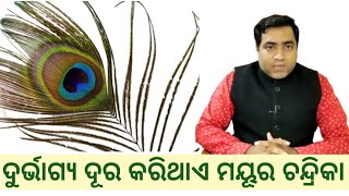 ସୌଭାଗ୍ୟ ବୃଦ୍ଧି କ୍ଷେତ୍ରରେ ମୟୂର ଚନ୍ଦ୍ରିକାର ଚମତ୍କାରିତା l Mayura Chandrika Vastu Pratikara