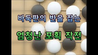 바둑판의 반을 잡아버리는 엄청난 크기의 대마 포획 작전