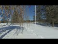 vr180 serenity clear winter day. 10 minutes of winter calm in virtual reality