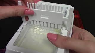 Gel Electrophoresis on a blueGel System, MiniPCR Kit