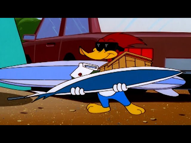 El Pájaro Loco Va A La Playa Práctic Español Ele Video Lecciones