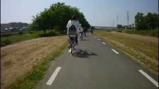 【自転車車載動画】南河内サイクルライン 石川河川敷南向き 1/2