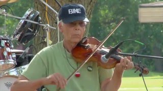 Woodland Strings, Green Fair Folk Festival 2015