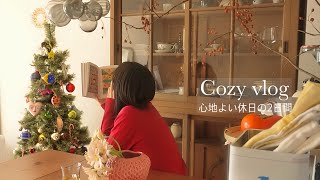 【cozy vlog】好きなものに囲まれて暮らす私の日常｜欲しかった花器をやっと買った｜クリスマスオーナメント追加🎄