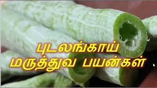 புடலங்காய் மருத்துவ குணங்கள்