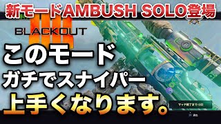 新モードでスナイパー無双‼︎AMBUSHがSOLOで復活‼︎ スナイパー上手くなりたい人必見です‼︎ 【Black Out】#bo4 #バトロワ #アンブッシュ #コツ #解説