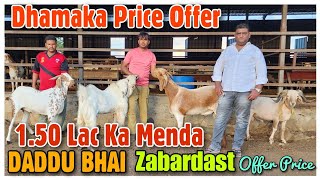 1.50 Lac Ka Menda Aur Khassi Bakre At ASHRAFI GOAT FARM | DADDU BHAI Ka Dhamaka |@Rizwankranti