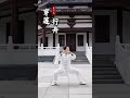 太乙游龙拳1 10式正面演示口令版架式舒展气势磅礴似腾云驾雾像龙游太空。 道家养生 太乙游龙拳