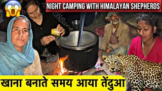 खाना बनाते समय आया तेंदुआ | कुत्ती पर पहले ही हमला कर चुका है |Night Camping With Himalayan Shepherd