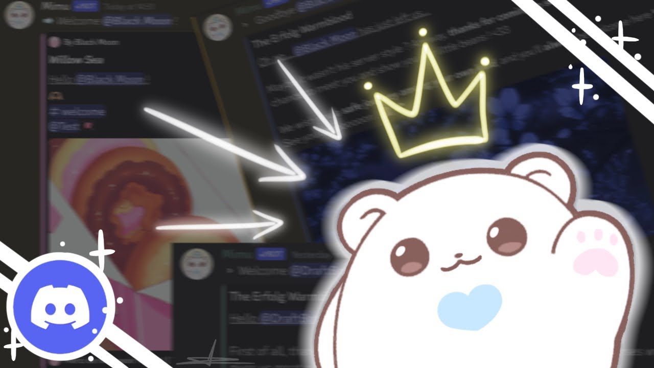 Tout Savoir Sur Le Bot Mimu Discord Youtube