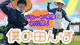 【米作り⑰】ドローン映像初公開！これが僕の田んぼです♪