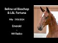 NR 29 Belina vd Bisschop & L&L Fortuna - Emerald filly straight back to Usha van 't Roosakker!