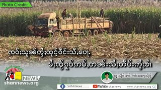 ၸဝ်ႈသူၼ်ဢွႆႈထုင်ႉဝဵင်းသီႇပေႃႉ မႆႈၸႂ်ၵူဝ်ဢမ်ႇတၼ်းလႆႈတႅပ်းဢွႆႈၶၢႆ