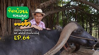 ทิดบ้วนชวนคุยยามเช้า EP64 การเพาะเลี้ยงเนื้อเยื่อ