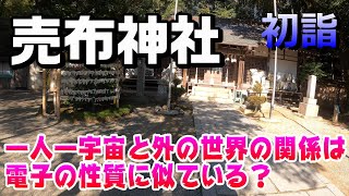 【4K散歩動画】売布神社に初詣！！一人一宇宙と外の世界の関係は電子の性質に似ている？