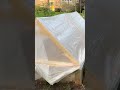 we built a diy greenhouse for our raised garden beds 🪴🤩 shorts