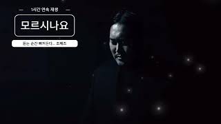 [🔥쇼츠 400만 뷰 돌파!] 중독성 100%! 💜 요즘 핫한 그 곡! 🔥 [조째즈 - 모르시나요] 1시간 무한 반복