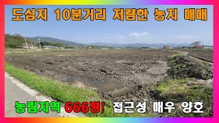 [청주 토지 매매] 청주 도심지와 가까운 저렴한 농지 매매 / 청주시 남일면 황청리 평당 20만원 토지 매매 #청주토지매매 #청주농지매매 #청주시남일면토지