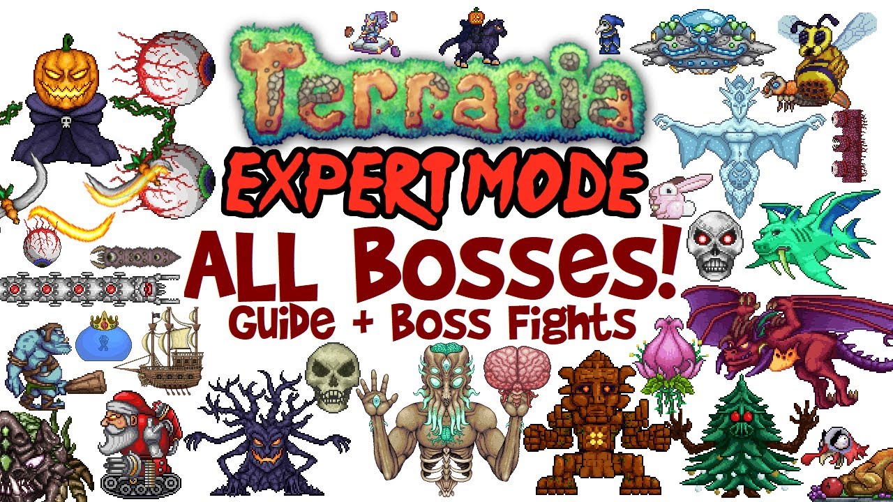 Terraria All Bosses In Order Expert Mode Guide & Fights! (Easiest To ...