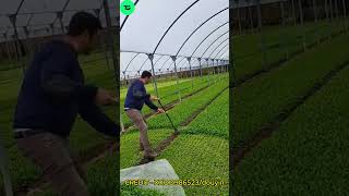 fastest workers doing their job perfectly,workers doing theirjob perfectly,satisfyingvideosofworkers