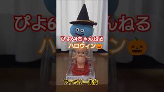 ぴよ64ちゃんねるハロウィン🎃ファミリー集合　#ハロウィン　#ハロウィン2024 #halloween 　#halloween2024　#キユーピー