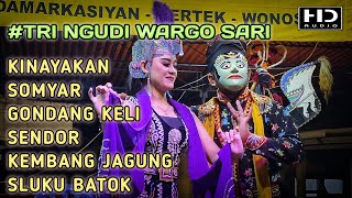 KUMPULAN ALBUM TERBARU TRI NGUDI WARGO SARI / MP3+MP4 FULL HD