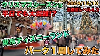 【冬休み前！】2024年12月上旬の東京ディズニーランドのパークを１周してみた／ディズニークリスマス