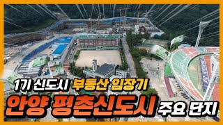 안양 평촌신도시 임장기 / 1기신도시 / 재건축 / 리모델링｜정연훈 부동산 전문가