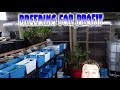 Breeding for Profit with Master Guppy Breeder Sam - New Greenhouse