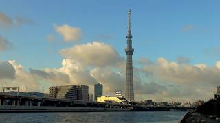 【 4Ｋ 】C25　東京スカイツリー　青空　白い雲　Tokyo Skytree   Blue Sky　早朝