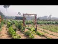 ammapalli temple ఇంత అందమైన farm😍😍