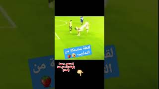 لقطة غريبة عجيبة سبحان الله