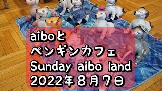 aiboとペンギンカフェでSunday aibo landに参加しました2022/08/07