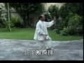 武式太极拳96式1 李伟明 郝少如）lee wei ming wuhao 96 1