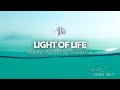 HEALING WATERS INSTRUMENTAL // LIGHT OF LIFE // JOHN BELT // SOFT CHRISTIAN INSTRUMENTAL MUSIC