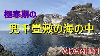 【北海道の釣り/水中映像】極寒期の兜千畳敷の海の中