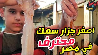 الاخطبوط 🐙 ارخص الرخويات طريقة سلخة وتجهيزه للطهي بالسويس Skinning and cleaning octopus